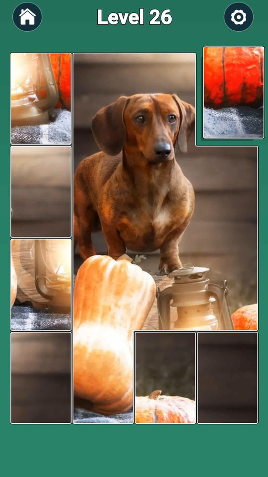 Jigsaw Solitaire: Puzzle Games screenshot 5